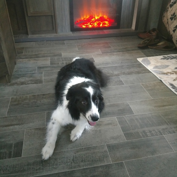 Meet your Posher, Cathy - Picture 3 of 4